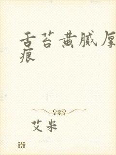 舌苔黄腻厚有齿痕