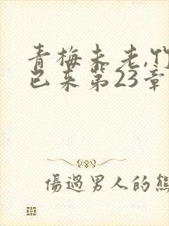 青梅未老,竹马已来第23章封面