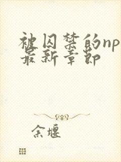 被囚禁的npc最新章节