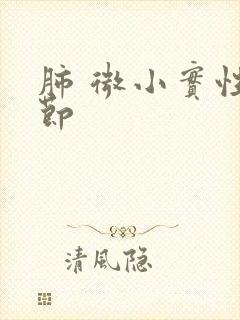 肺 微小实性结节