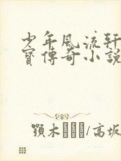 少年风流轩辕大宝传奇小说