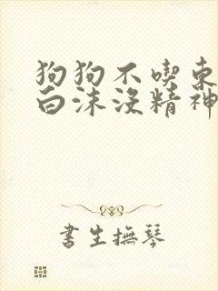 狗狗不吃东西吐白沫没精神怎么办封面