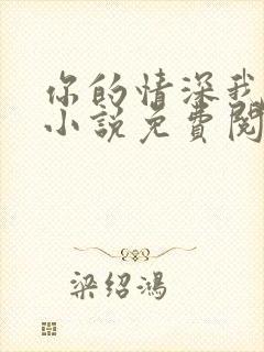 你的情深我不配小说免费阅读全文封面