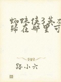 蜘蛛侠3英雄无归在哪里可以看