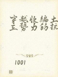 穿越收编土匪建立势力的抗战小说