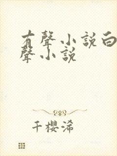 有声小说白洁有声小说封面