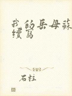 我的岳母苏霈真续写