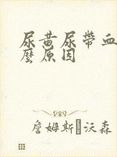 尿黄尿带血是什么原因