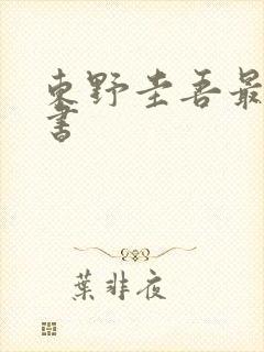 东野圭吾最好的书封面