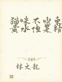 猫咪不吃东西吐黄水但是精神很好