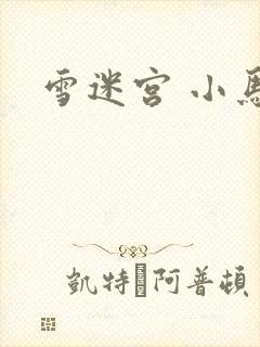 雪迷宫 小马哥