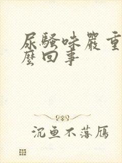 尿骚味严重是怎么回事