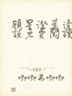 顾星澄叶清月小说免费阅读最新章节