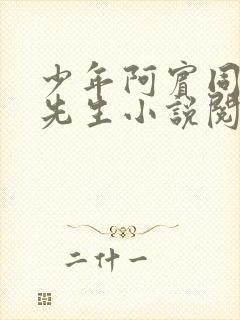 少年阿宾同人胡先生小说阅读