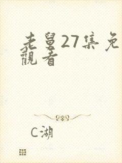 老舅27集免费观看