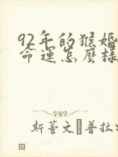 92年的猴婚姻命运怎么样啊?