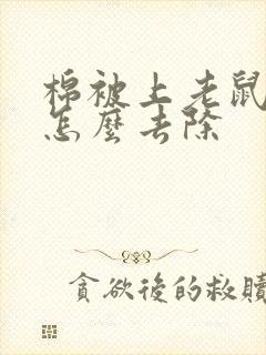 棉被上老鼠尿味怎么去除封面