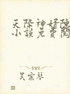 天降神婿陈黄皮小说免费阅读