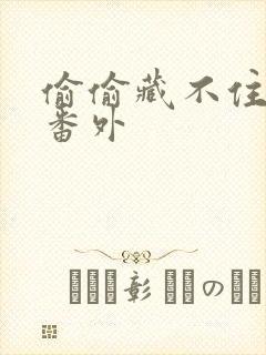 偷偷藏不住新婚番外封面