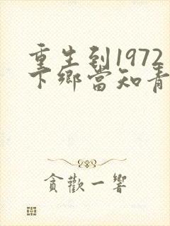 重生到1972下乡当知青的小说