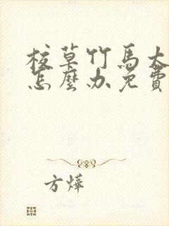 校草竹马太撩了怎么办免费阅读