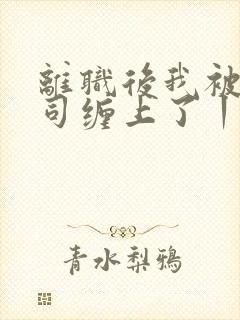 离职后我被前上司缠上了丨