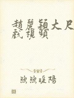 赵丽颖大尺度床戏视频封面