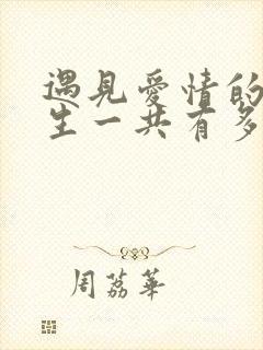 遇见爱情的利先生一共有多少集封面