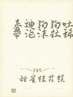 泰迪狗狗吐黄水带泡沫拉稀