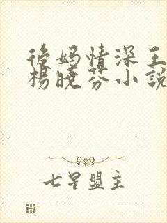 后妈情深王磊与杨晓芬小说