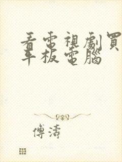 看电视剧买哪个平板电脑