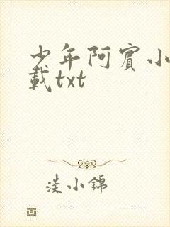 少年阿宾小说下载txt