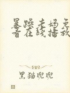 暴躁老妈免费观看在线播放电视剧全封面