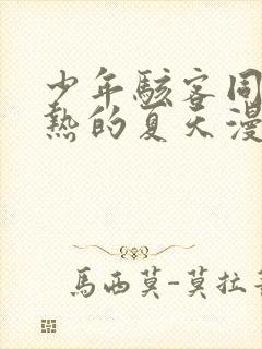 少年骇客同人闷热的夏天漫画封面