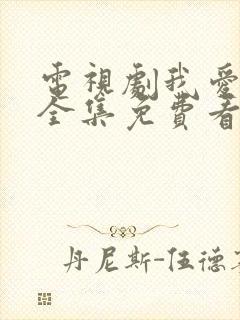 电视剧我爱我家全集免费看封面