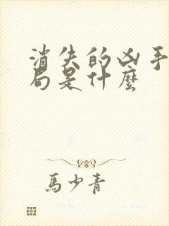 消失的凶手大结局是什么