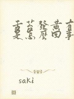 舌苔发黄有口臭是怎么回事