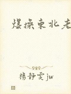 爆操东北老熟女