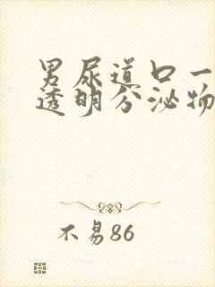 男尿道口一直有透明分泌物