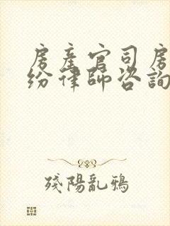 房产官司房产纠纷律师咨询