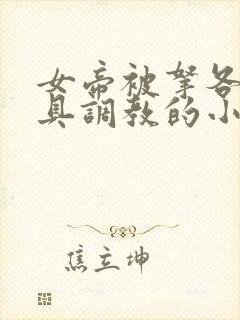 女帝被拿各种刑具调教的小说