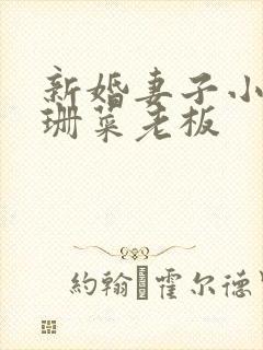 新婚妻子小说芷珊菜老板