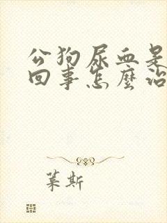 公狗尿血是怎么回事怎么治疗