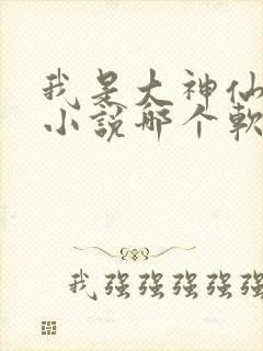 我是大神仙时江小说哪个软件能看封面