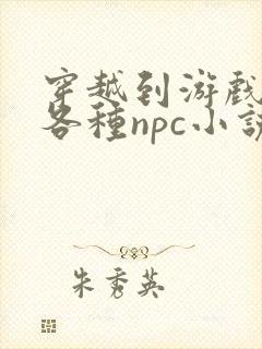 穿越到游戏里和各种npc小说封面