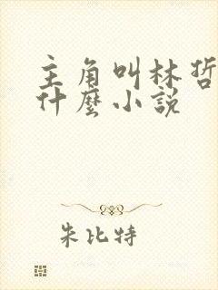 主角叫林哲的是什么小说封面