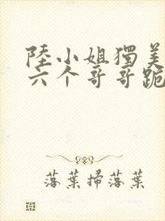 陆小姐独美后 六个哥哥跪求原谅