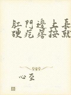 肛门边上长了个硬疙瘩按就疼