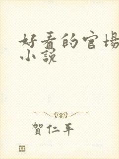 好看的官场完整小说