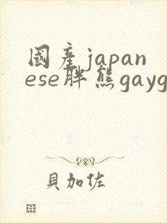 国产japanese胖熊gaygay网站封面